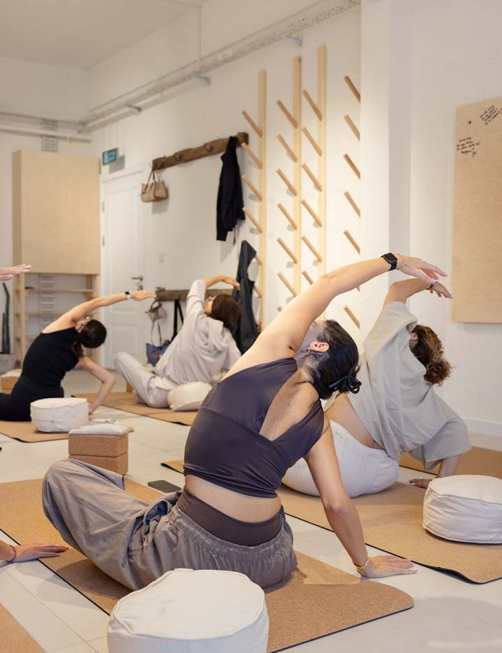 Ekinsyoga-Hatha Yoga Atölyesi